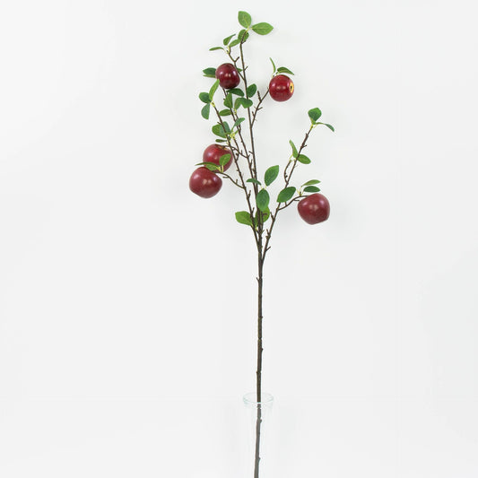 Koristeoksa, 99cm
