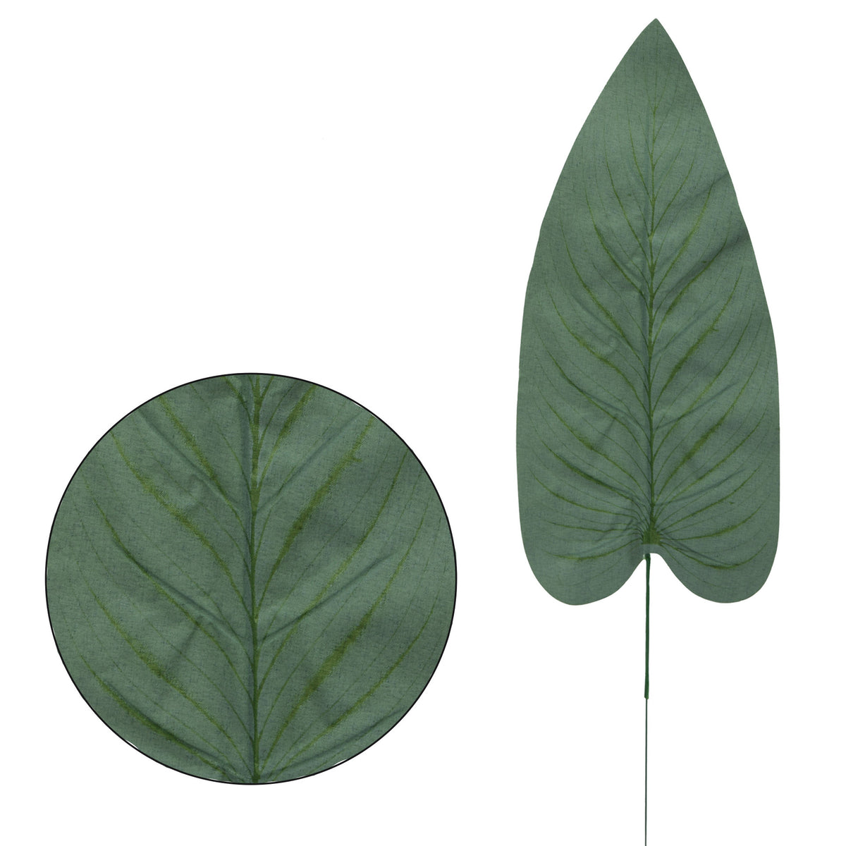 Köynnösvehka – tekolehti, 51 cm