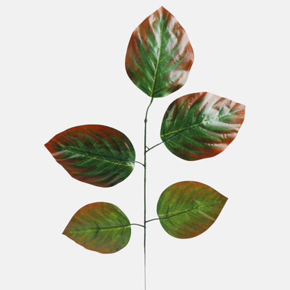 Lehmus – koristeoksa, 55 cm