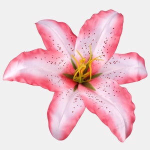 Roosa