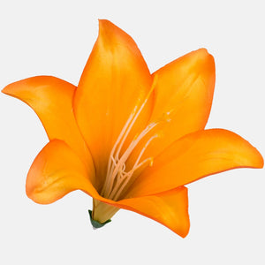 Oranž