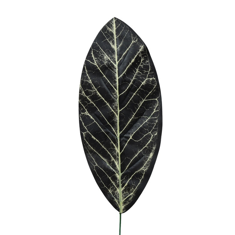 Tumeroheline Calathea kunstleht 49 cm - Kunstlilled