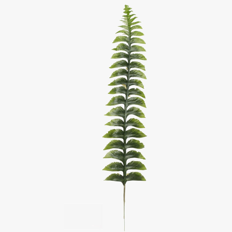 Roheline sõnajalaleht 55 cm - Kunstlilled