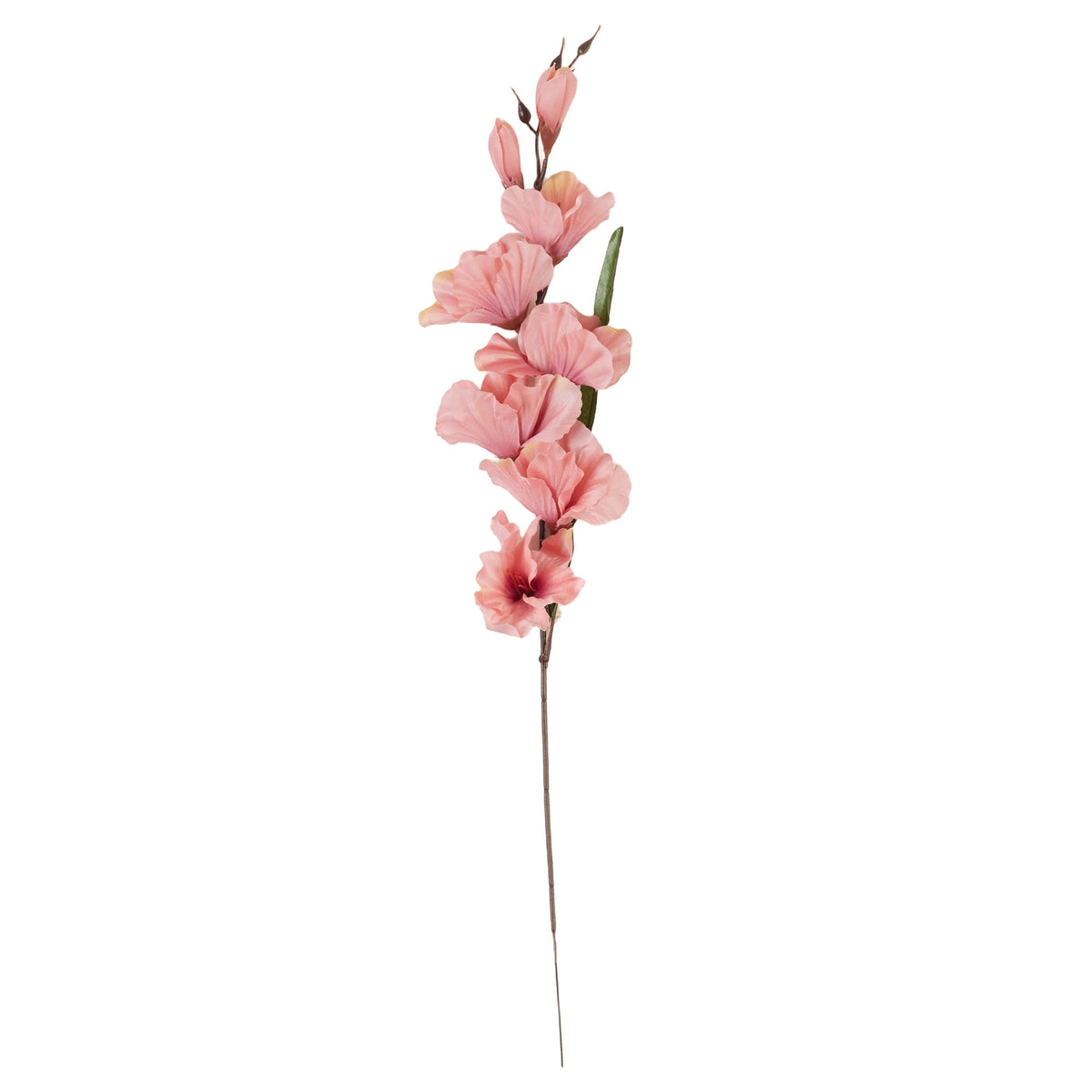 Lohenpunainen gladiolus – tekokukka