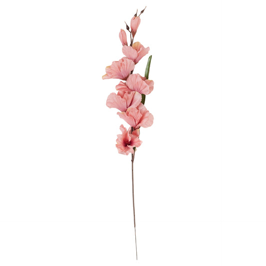 Lohenpunainen gladiolus – tekokukka