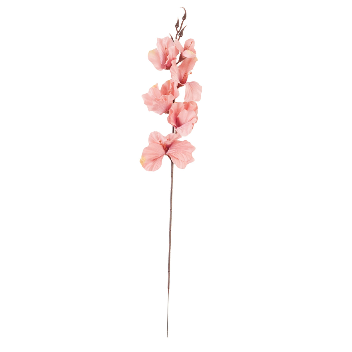 Lohenpunainen gladiolus – tekokukka