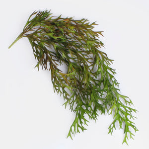 Roheline