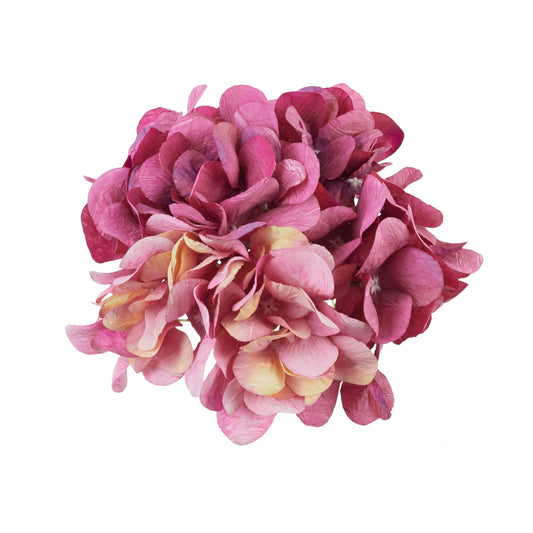 Magenta tekohortensian kukkapää, 19 cm