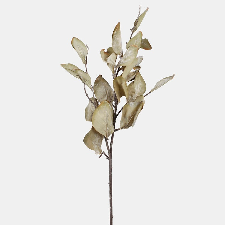 Rohelise magnoolia tehisoksa 80 cm - Kunstlilled