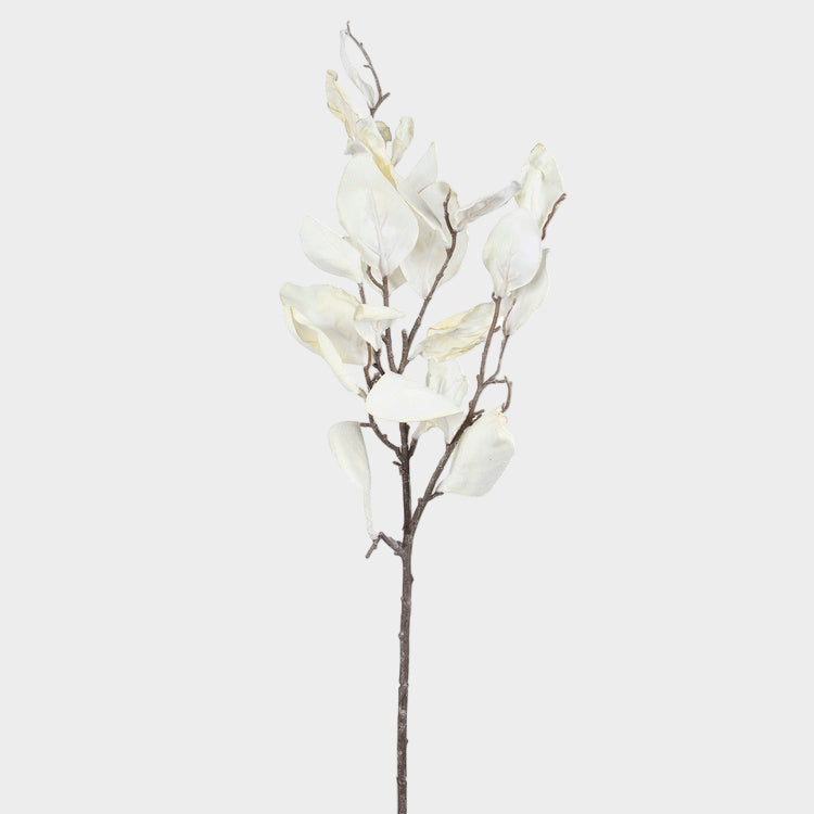 Kreemjas magnoolia oks 80 cm - Kunstlilled