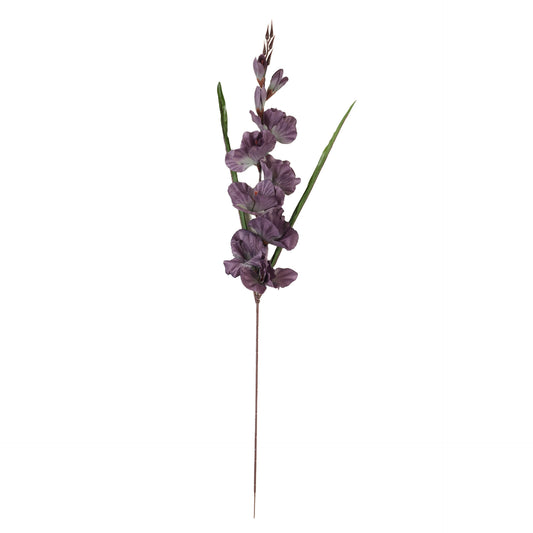 Malvanvärinen gladiolus – tekokukka