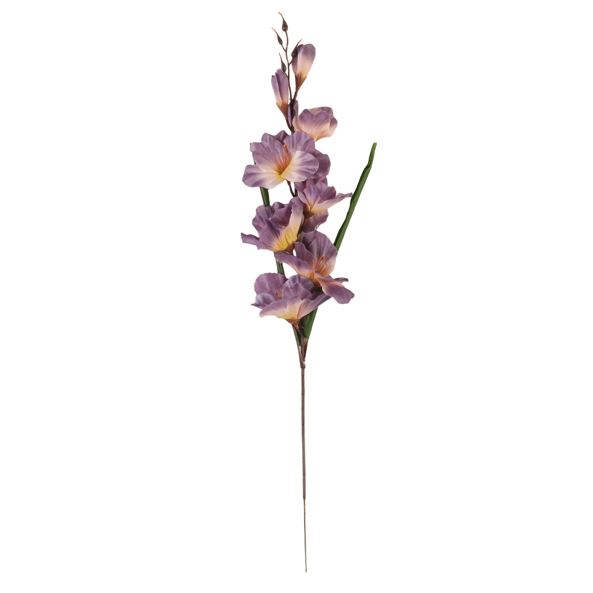 Malvanvärinen gladiolus – tekokukka