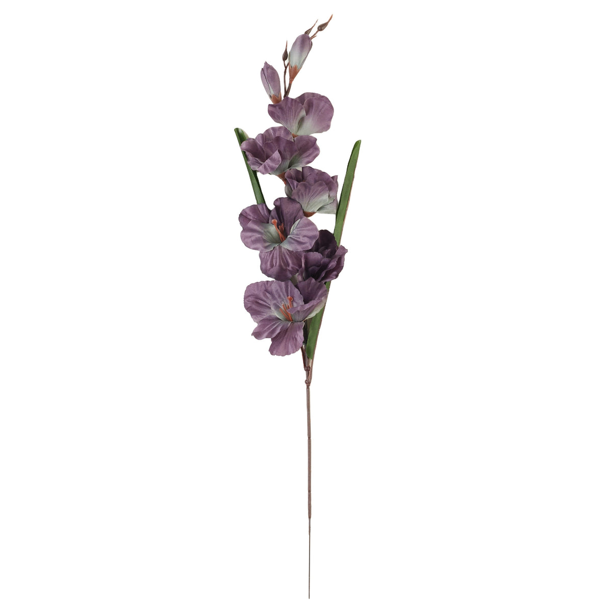 Malvanvärinen gladiolus – tekokukka