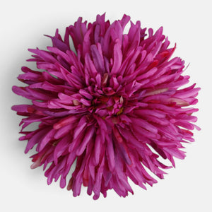 Malva