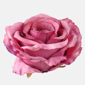 Malva