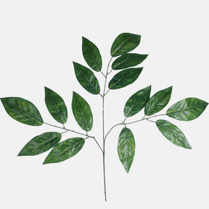 Roheline