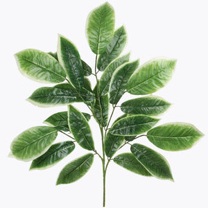 Mango – koristeoksa, 77 cm