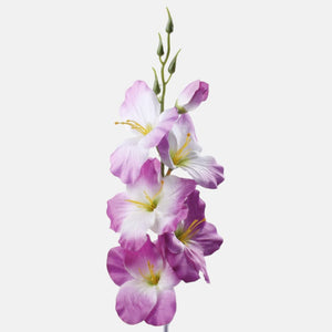 Lilla/valge