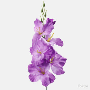 Lilla