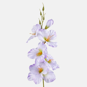 Helelilla
