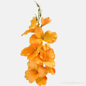 Oranž