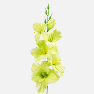 Heleroheline