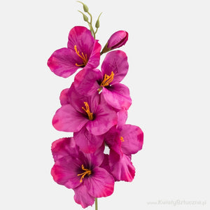 Fuksia punane