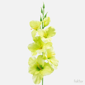 Heleroheline