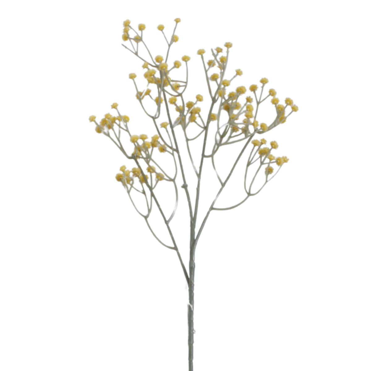 Morsiusharso – koristeoksa, 60 cm