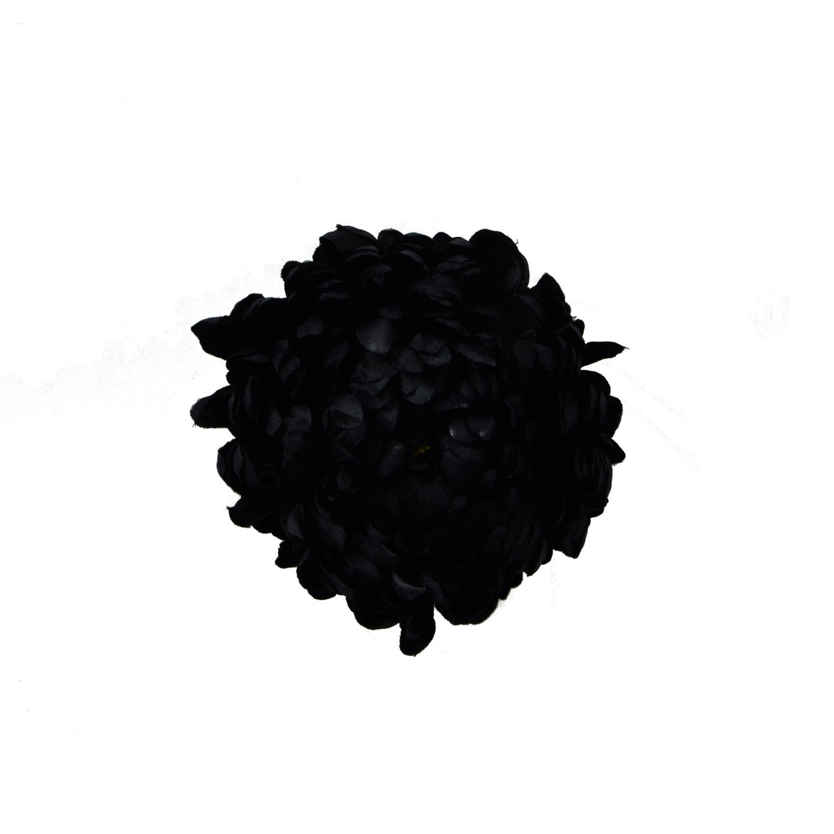 Musta tekokrysanteemin kukkapää, 14 cm