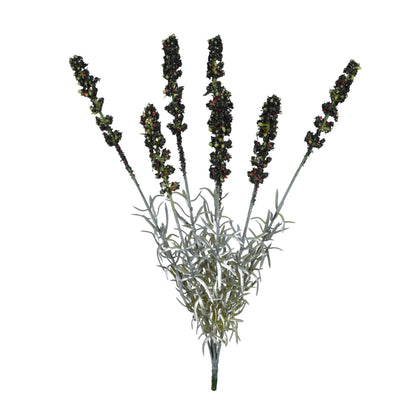 Musta tekolaventelin kimppu, 42 cm