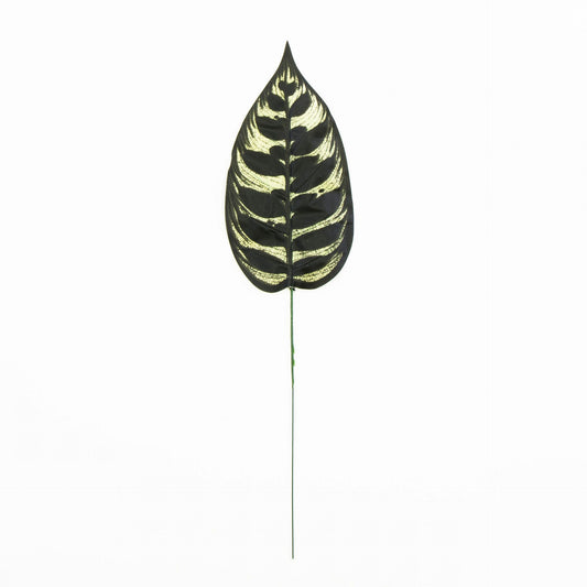 Musta tekolehti, 49 cm, 12 kpl
