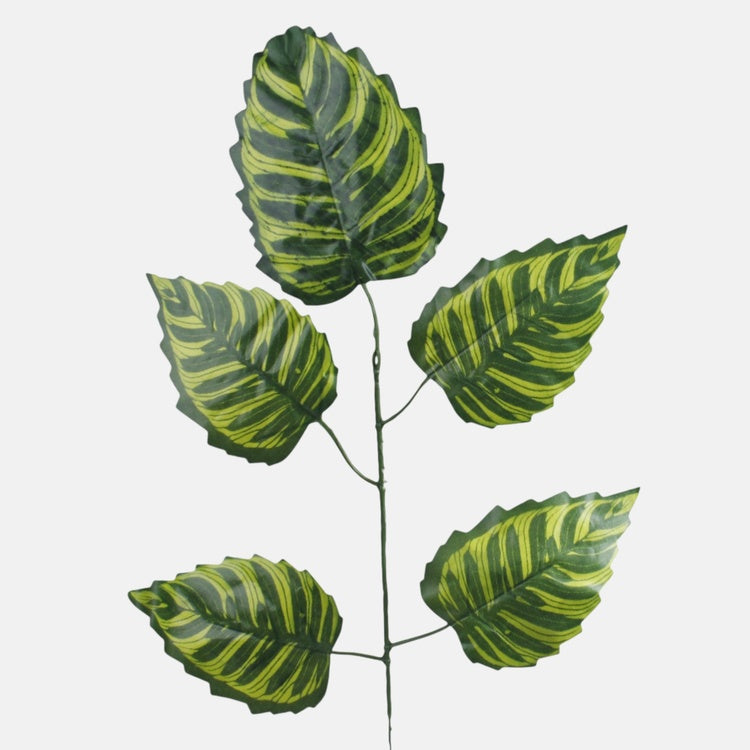 Roheline lepa kunsttaim oks roheline 55 cm - Kunstlilled