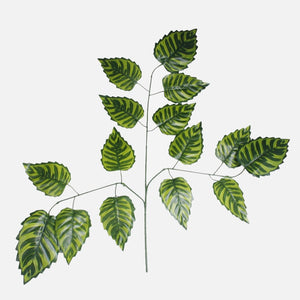 Roheline