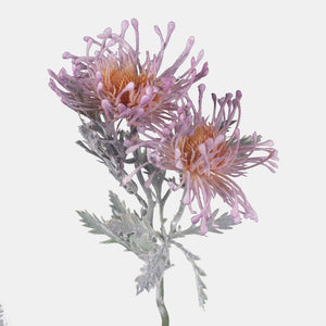 Helelilla