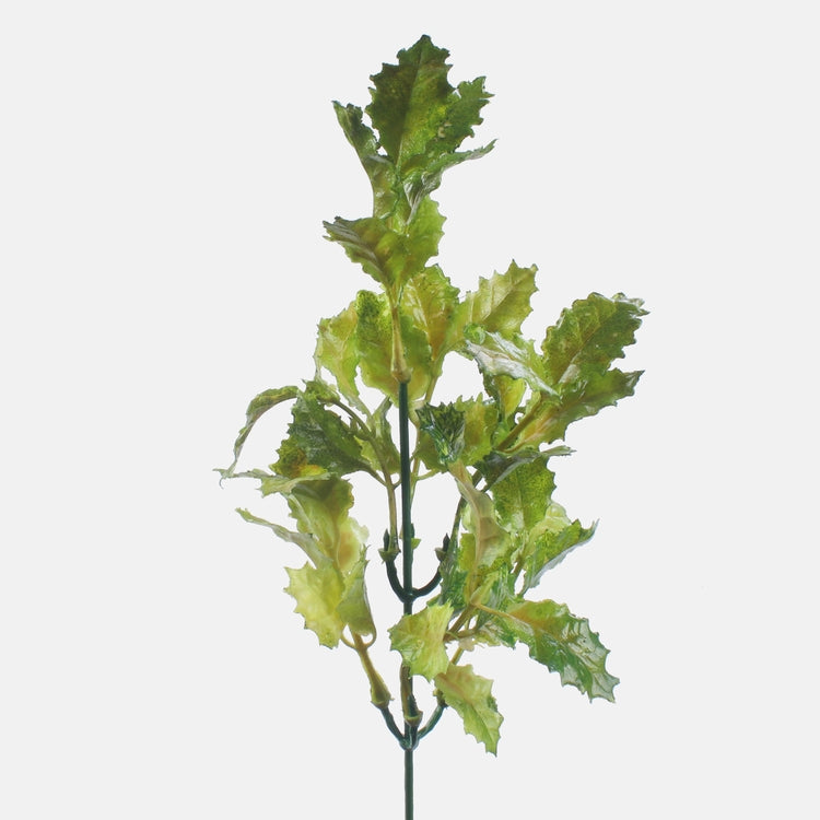 Heleroheline Terakübar kunsttaime oks 35 cm - Kunstlilled