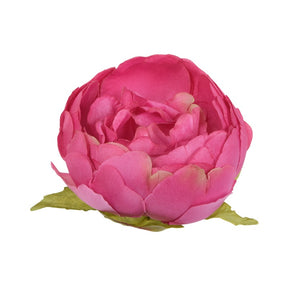 Roosa