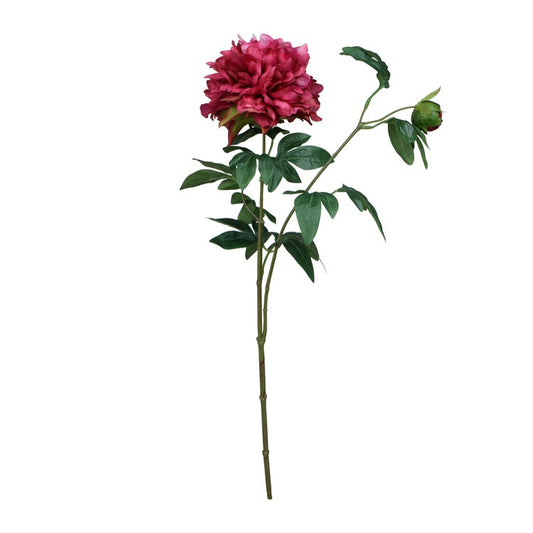 Burgundia pojengi kunstoksalill 65 cm - Kunstlilled