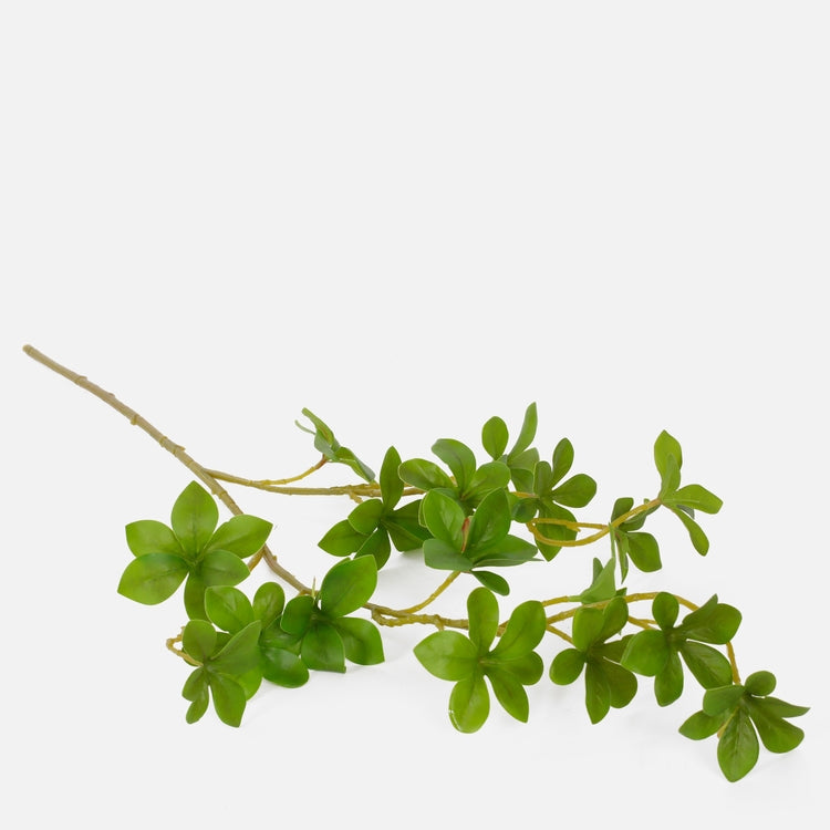 Roheline pittosporum kunsttaime oks 70 cm - Kunstlilled