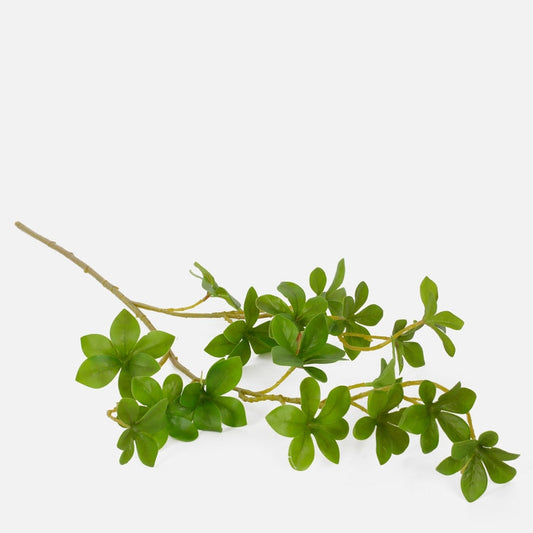 Roheline pittosporum kunsttaime oks 70 cm - Kunstlilled