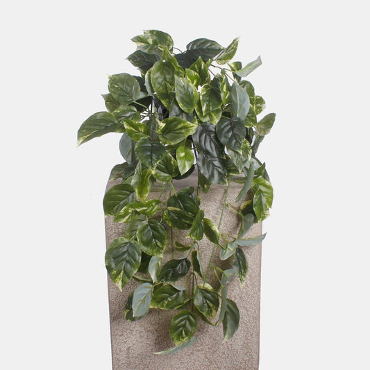 Roheline Pothose kunstviinapuu 60 cm - Kunstlilled