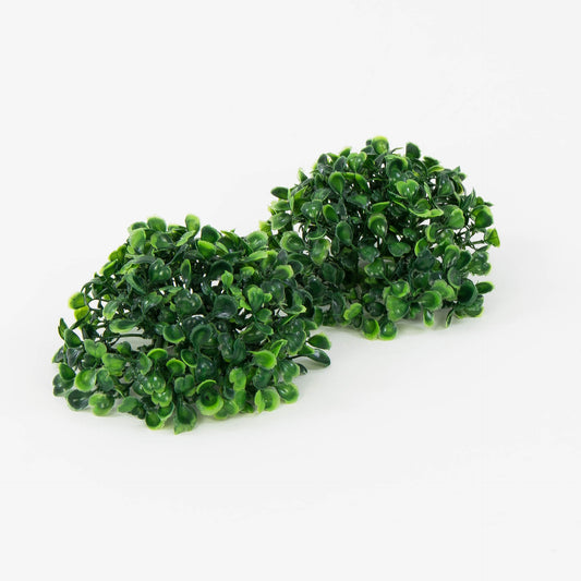 Puksipensas – koristeoksa, 15cm