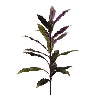 Punainen/musta traakkipuu – ruukkutekokasvi, 90 cm