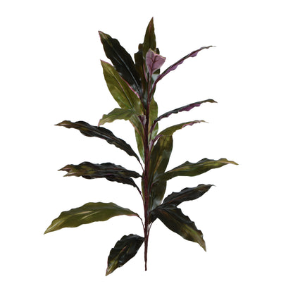 Punainen/musta traakkipuu – ruukkutekokasvi, 90 cm