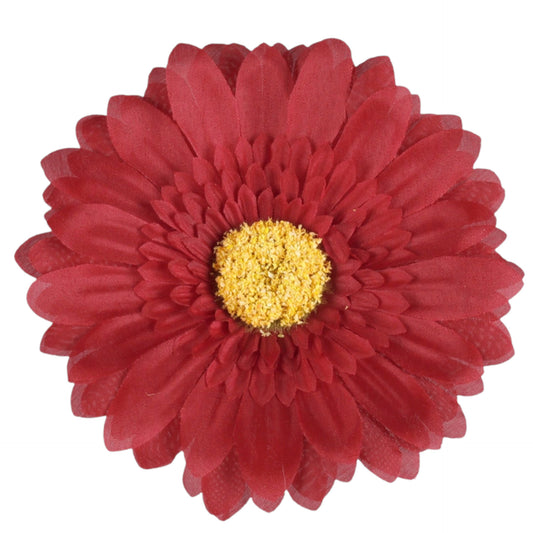 Punainen tekogerberan kukkapää, 15 cm