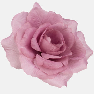 Roosa