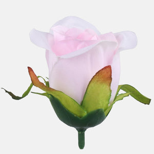 Roosa