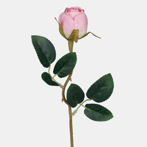 Roosa