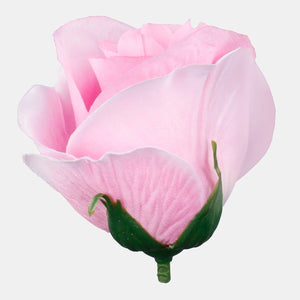 Roosa