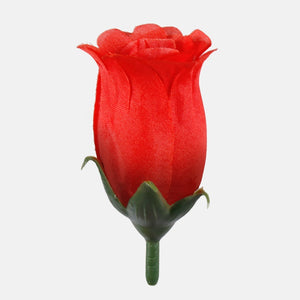 Roosa